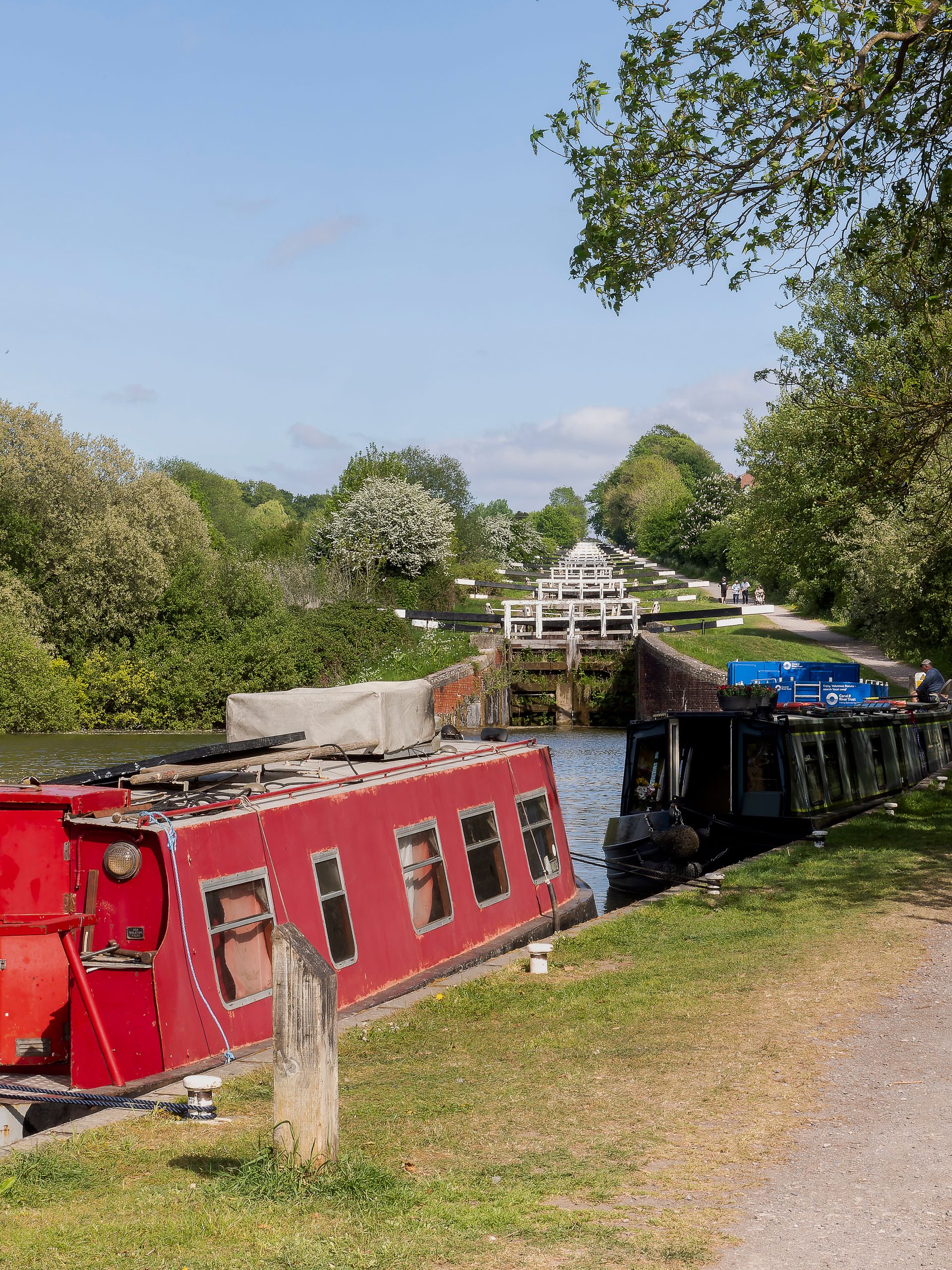 A cabin cruiser navigating a quiet canal lined with trees