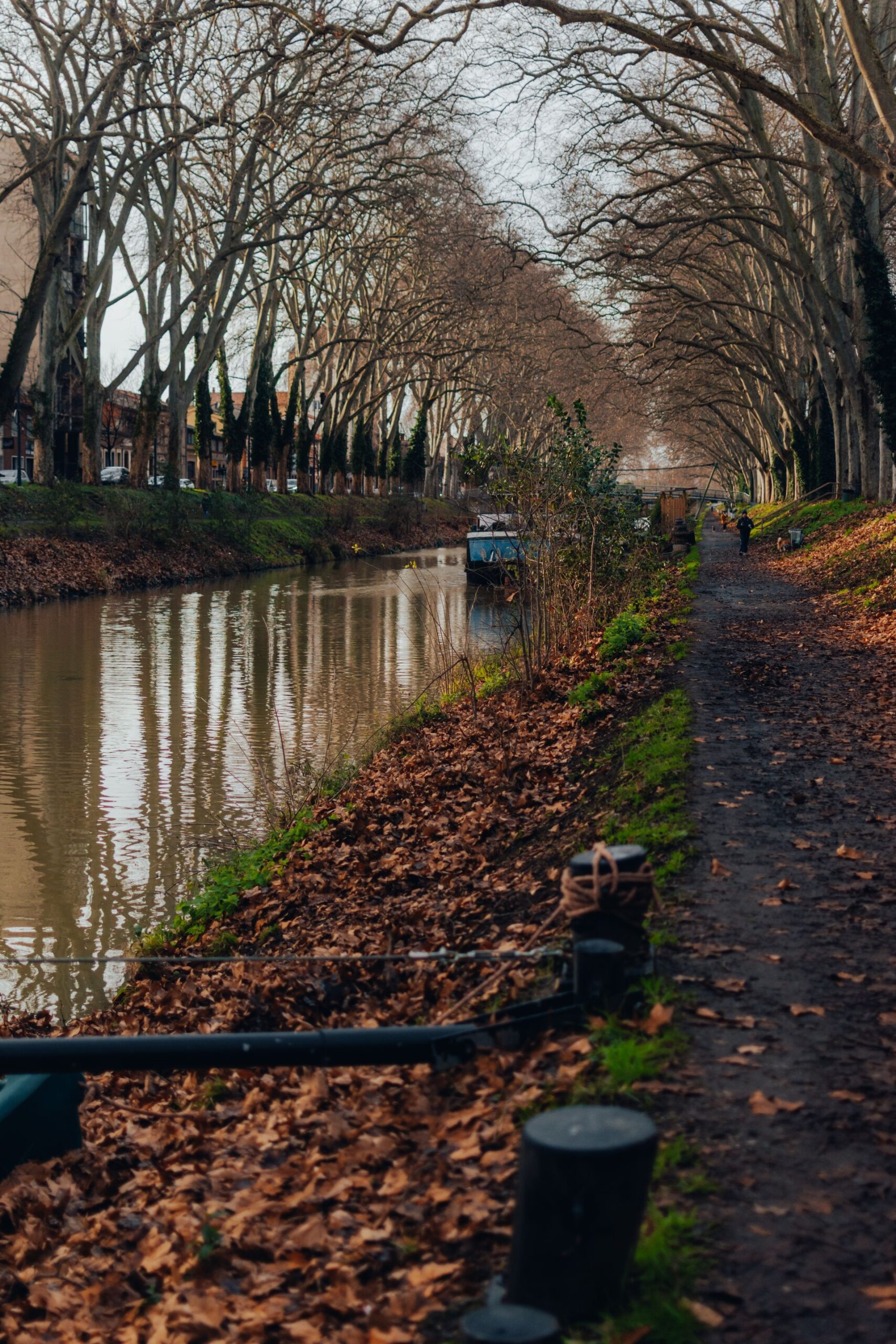 A tree-lined canal in southern France